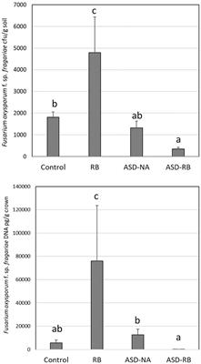 Temporal Dynamics of the Soil Metabolome and Microbiome During Simulated Anaerobic Soil Disinfestation